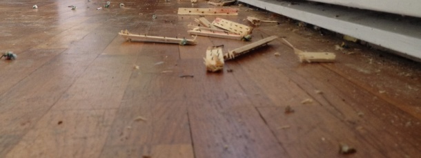 First Project – Liberate the Hardwood Floors!